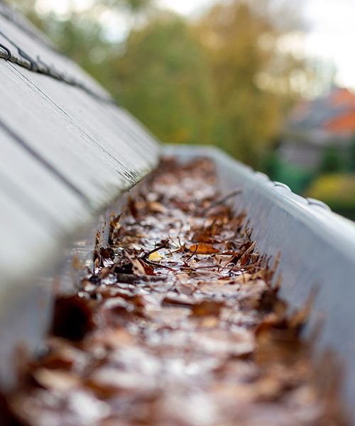 gutter inside close up clogged with water and leaves canton ms